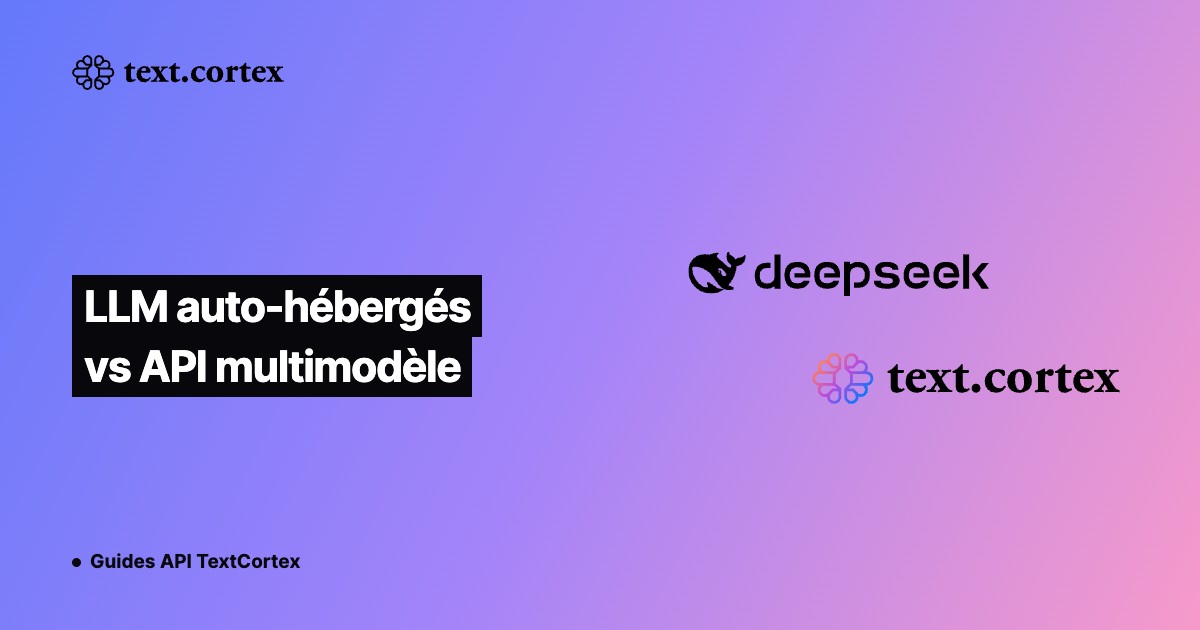 LLM auto-hébergés vs API multimodèle