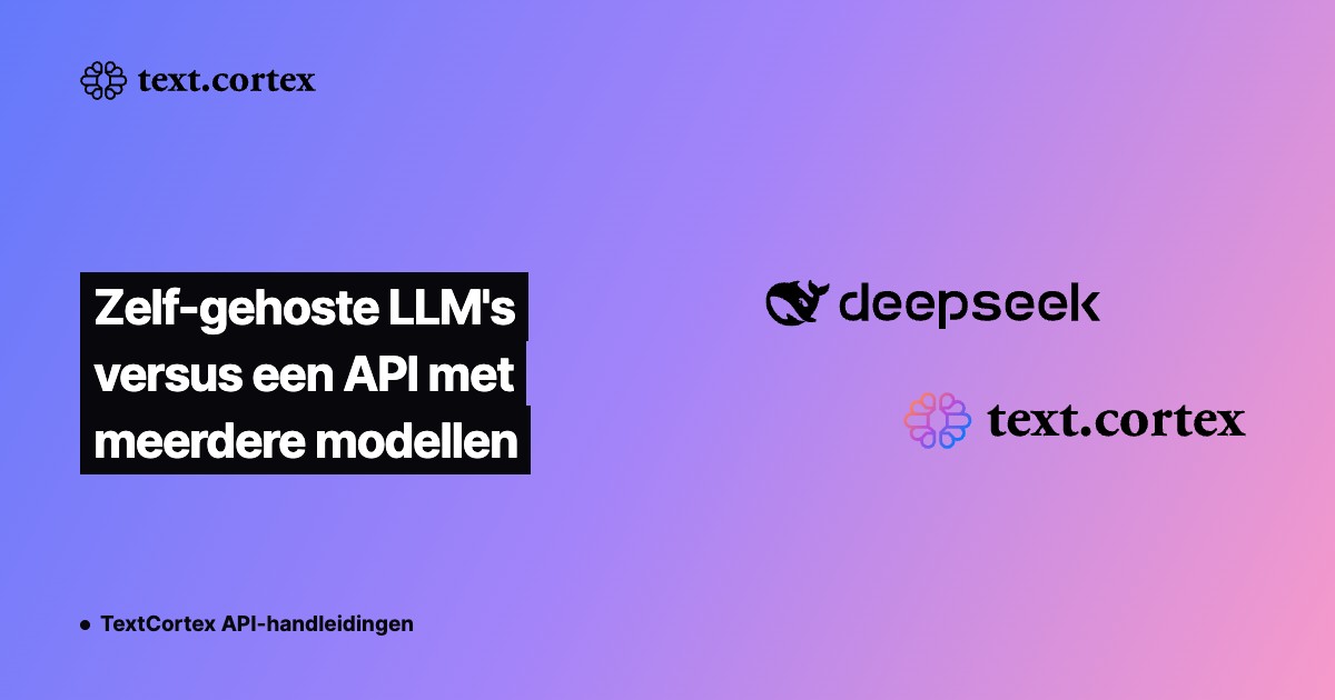 Zelf-gehoste LLM's versus een API met meerdere modellen