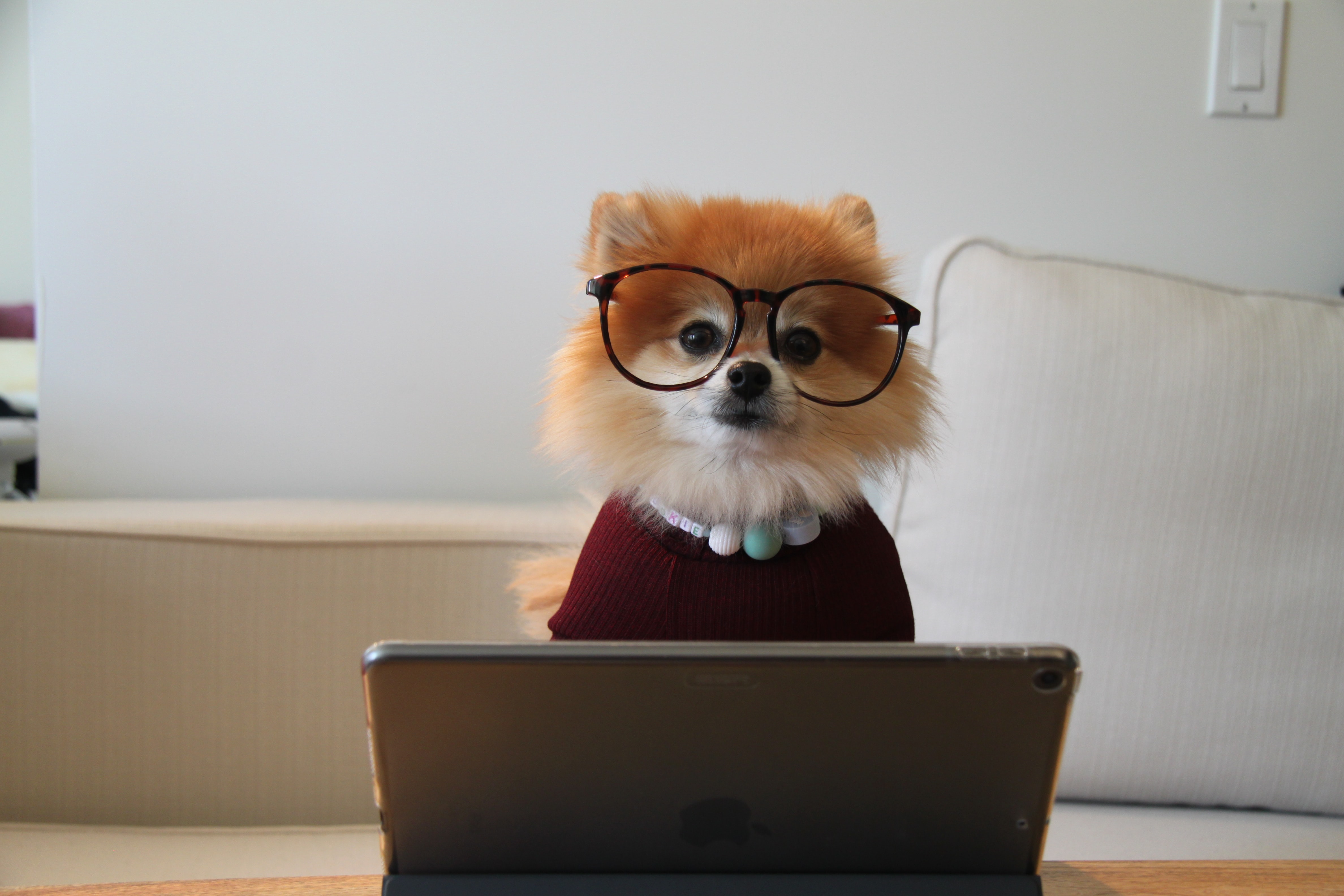 how to start affiliate marketing?