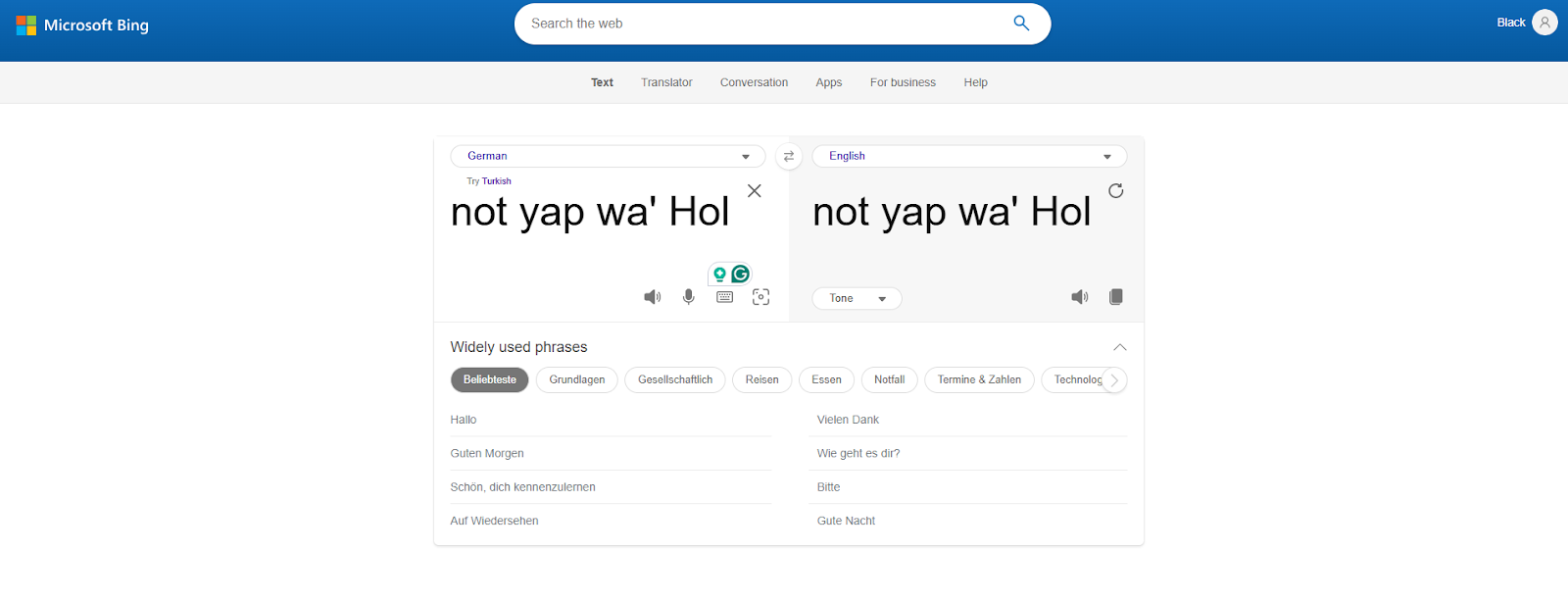 bing-microsoft-translator-software