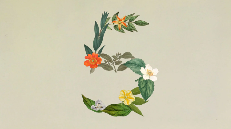 Recension av Claude Sonnet 5