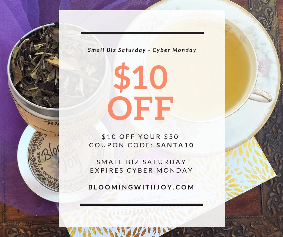 Small Business Saturday holiday email campaign by Blooming with Joy
