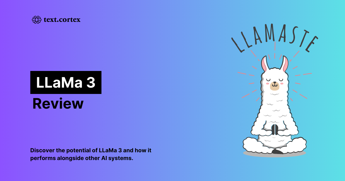 LLaMa 3 by Meta AI レビュー